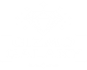 Gizmo Galaxy